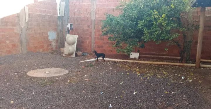 Casa Lageado - Foto 4