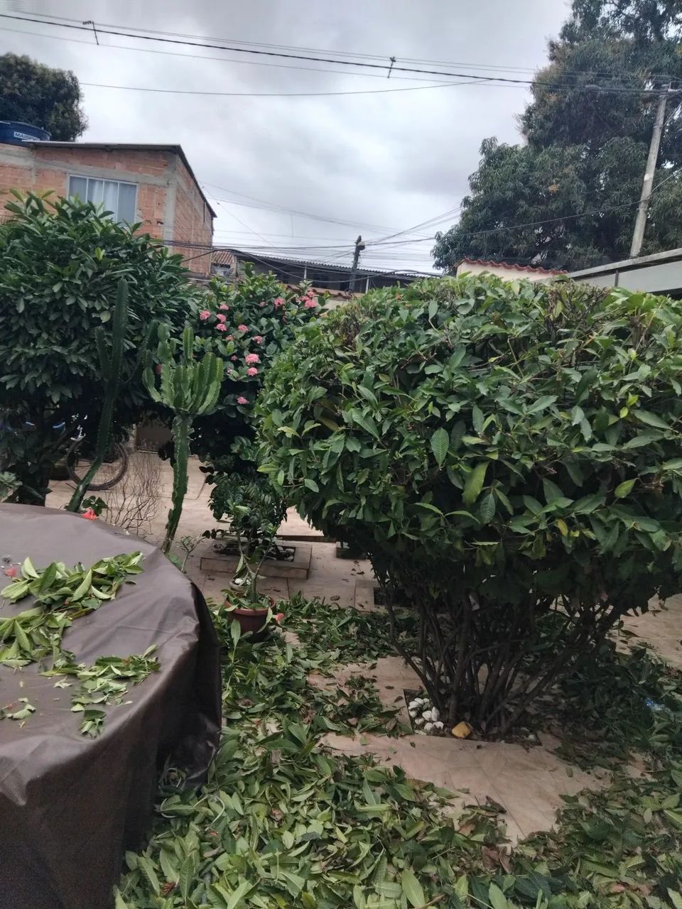 Limpeza, instalação e manutenção.  - Foto 5