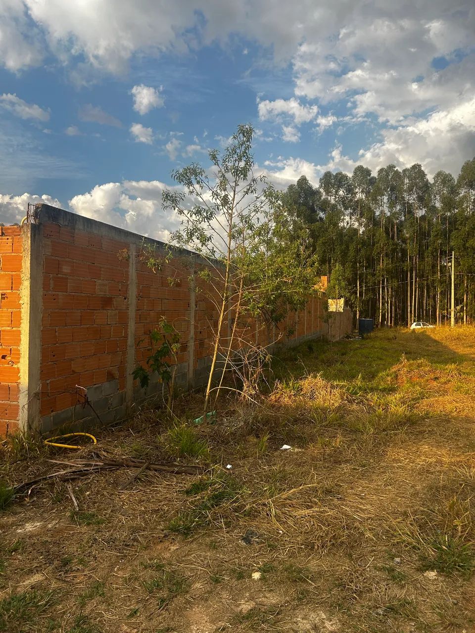 Venda Lote em Caetanopolis Bairro Clara Nunes 