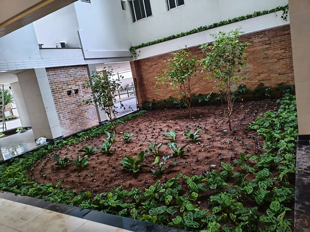 Jardineiro  - Foto 4