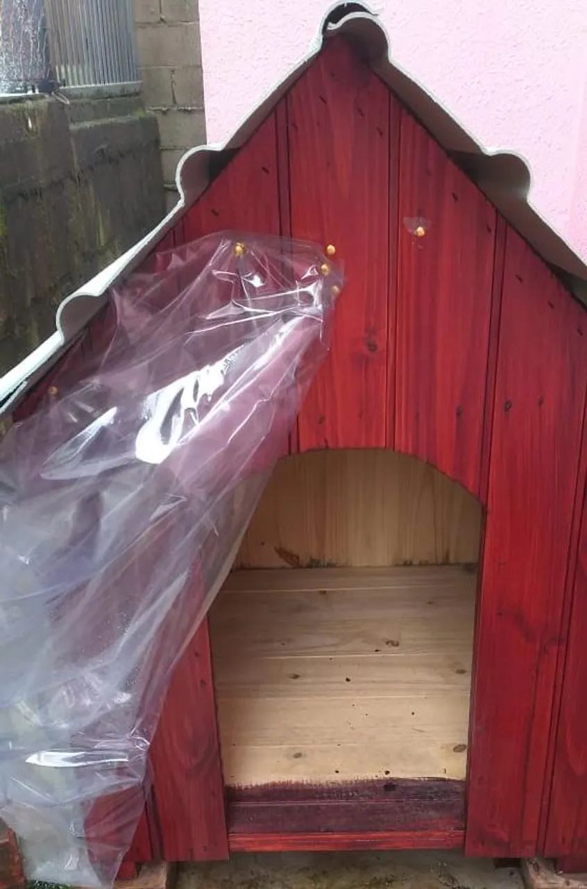 Casa de cachorro - Foto 5