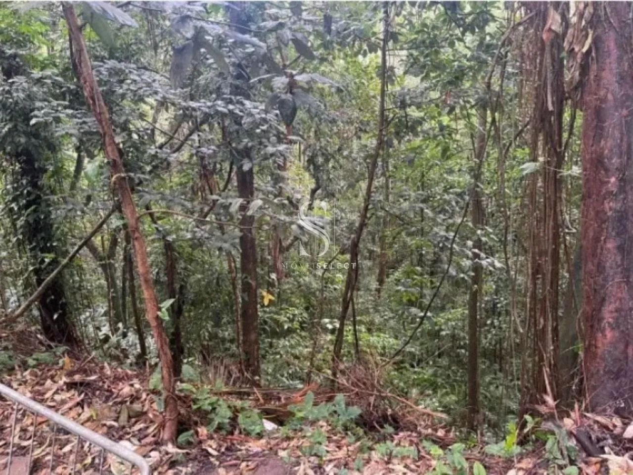 Terreno em São Paulo - Foto 2