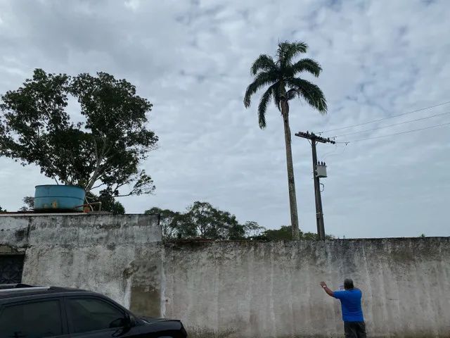 Terreno no Tarumã com 92 mil m2 - Foto 5