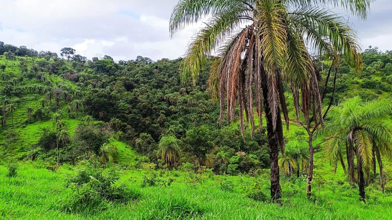 Fazinhandinhas em serra azul Mateus leme  - Foto 3