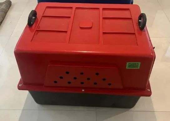 Caixa Transportadora  - Foto 3