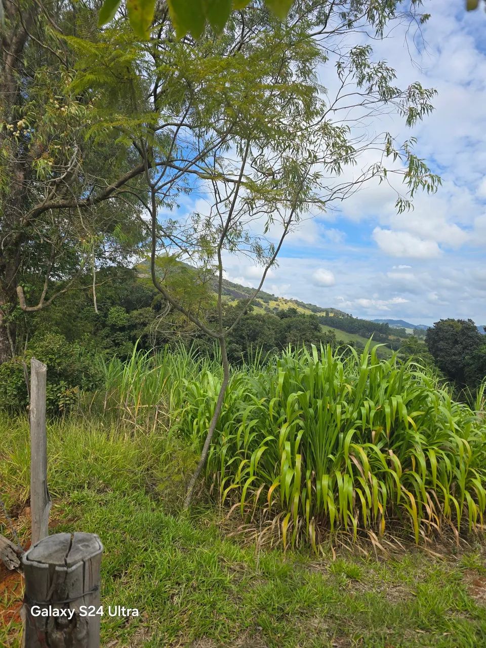Terreno Baião  - Foto 4