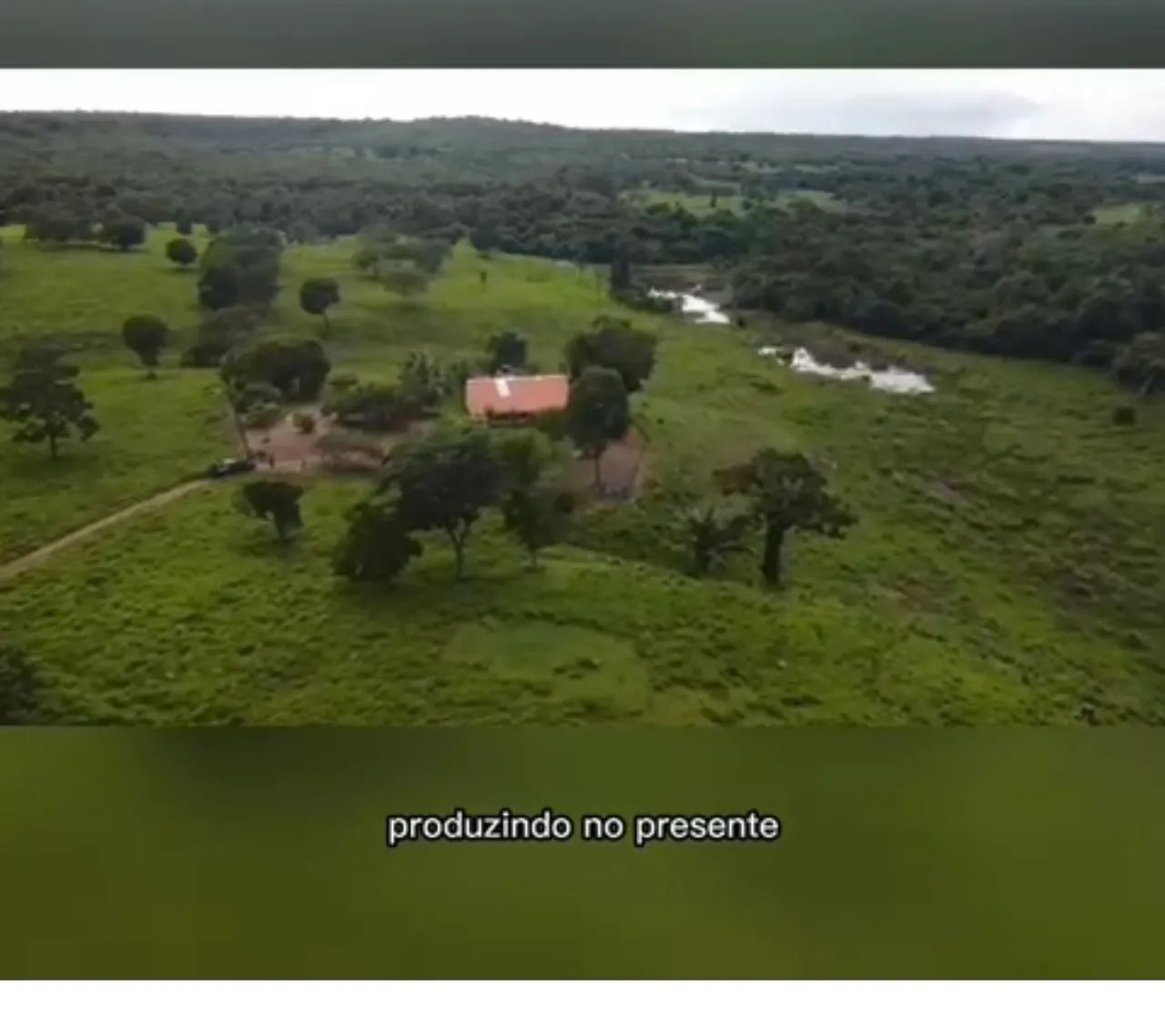 Vendo fazenda de 65 alqueires - Foto 4
