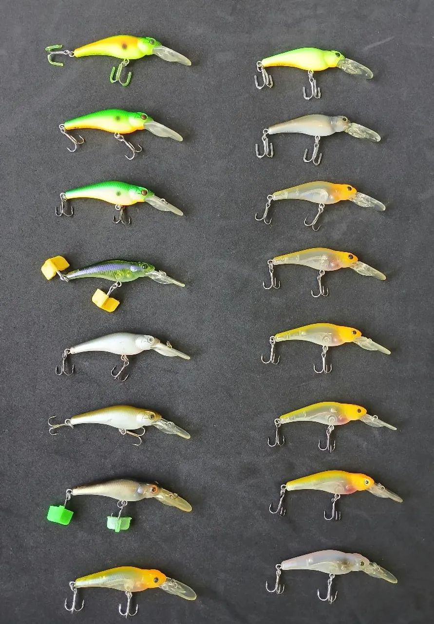 Iscas Evergreen Spin move shad 