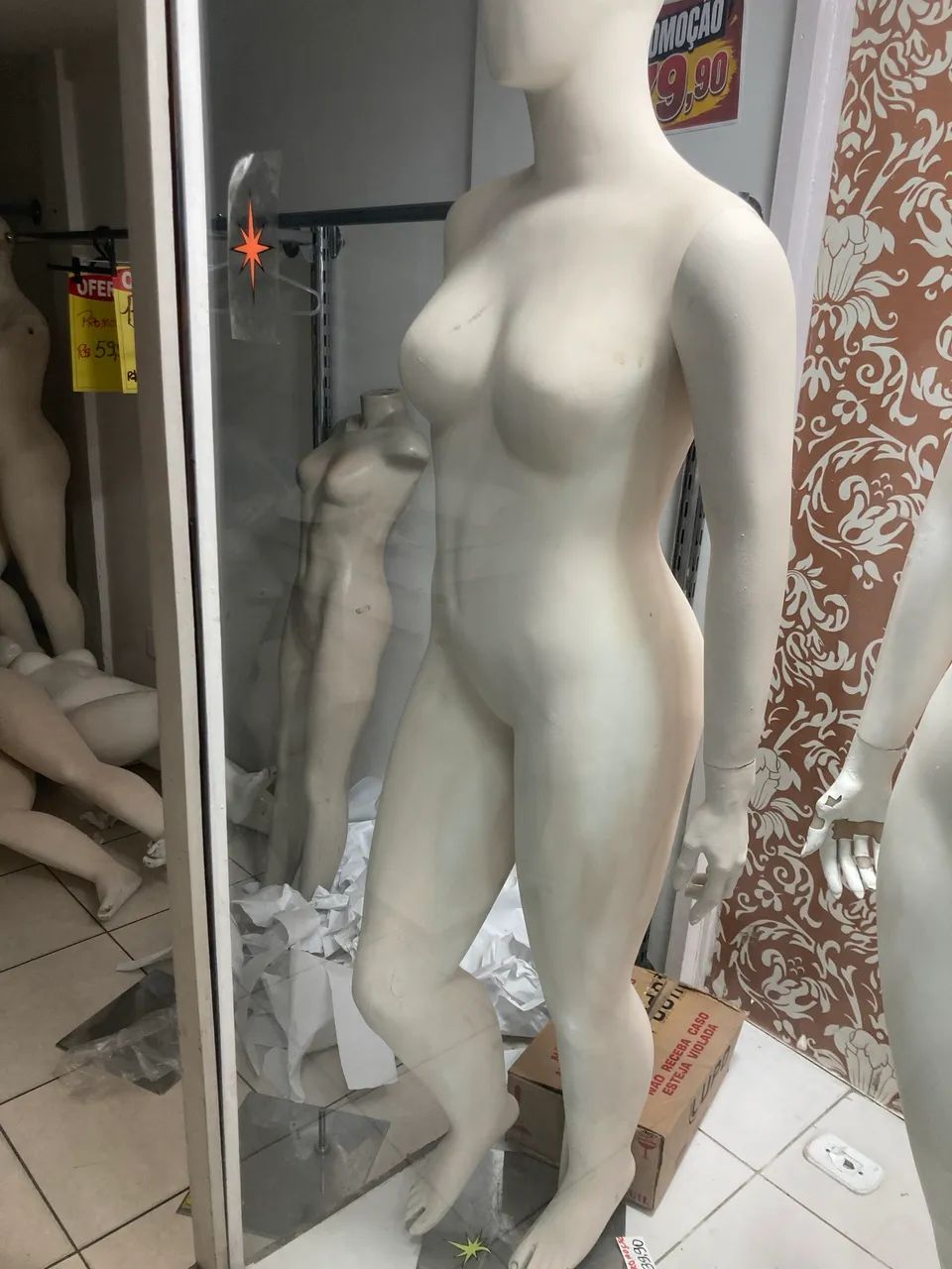 Manequim plus size retirada em Nova Iguaçu