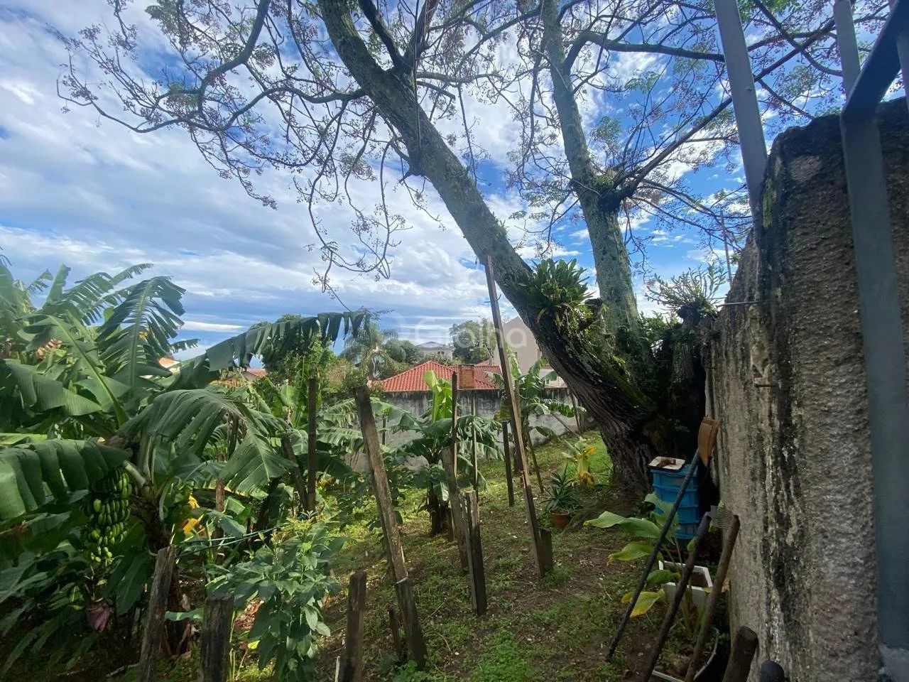 Terreno de 329m² no bairro Bom Abrigo - Foto 4