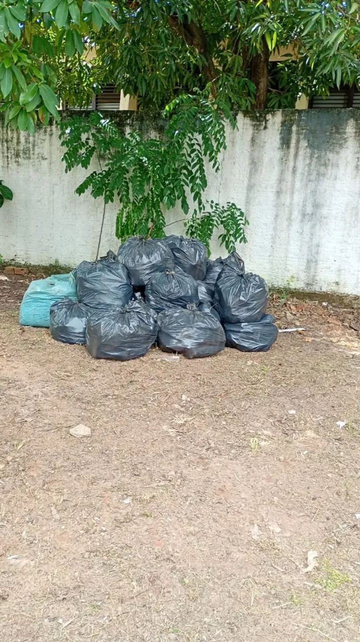 Roço de terrenos sítios chácara etc  - Foto 3