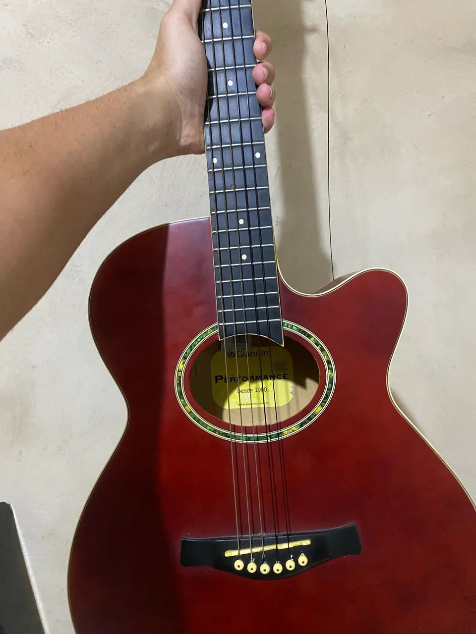 Violão Giannini 