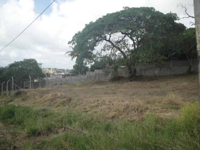 Loteamento Novo Jardim Atlântico-Olinda-PE-Últimas Unidades - Foto 12