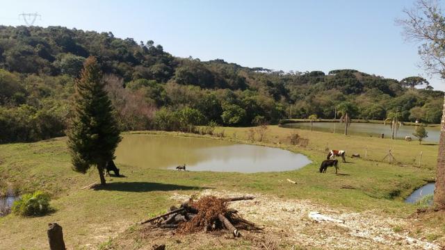 Chácara, 6 dormitório(s), 4 banheiro(s), 2 suíte(s), 3 garagem(ns), 20.943,95m² total. Chá - Foto 18