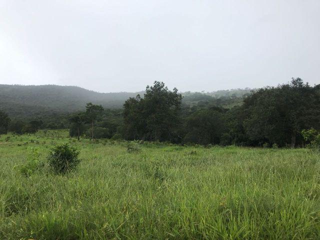 86 Alq 140 km de Goiânia - Foto 14
