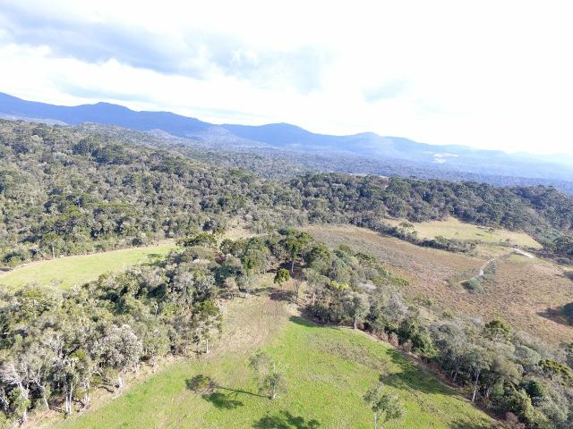 Sítio em Urubici/chácara em Urubici/terreno em Urubici - Foto 6