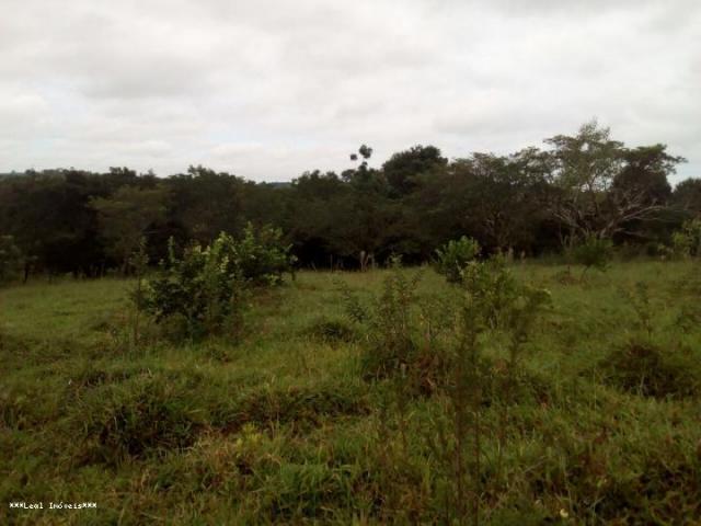 Sítio para Venda em Presidente Prudente, RANCHO QUARTO DE MILHA - Foto 4