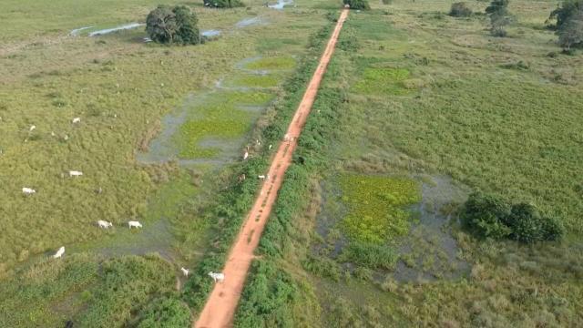Fazenda 9.715 hectares no pantanal de Poconé MT - Foto 19