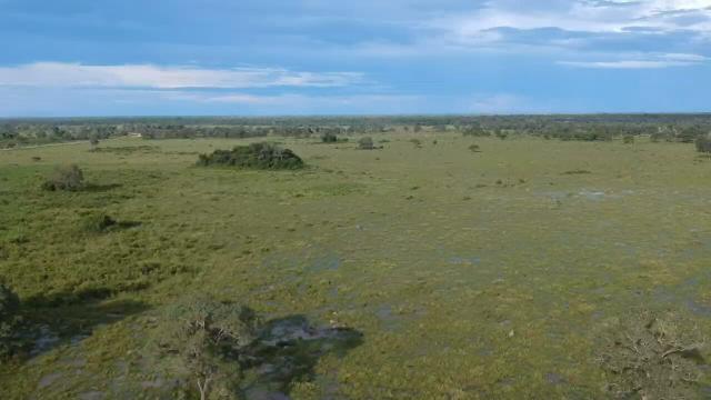 Fazenda 9.715 hectares no pantanal de Poconé MT - Foto 2