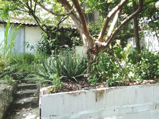 Casa com 3 dormitórios à venda, 150 m² por r$ 590.000 - carlos prates - belo horizonte/mg - Foto 8