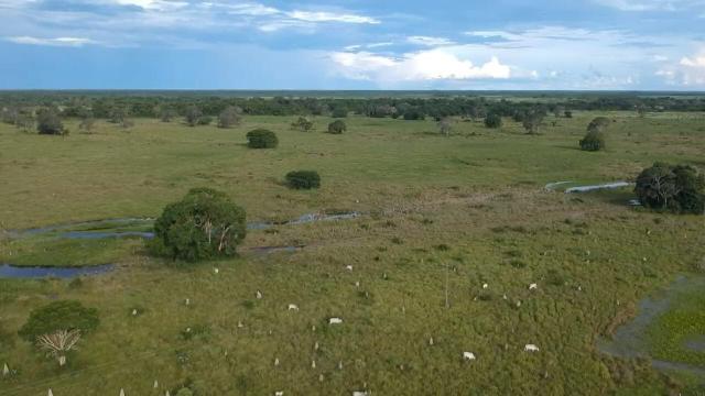 Fazenda 9.715 hectares no pantanal de Poconé MT - Foto 14