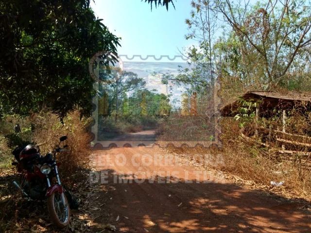 Otima Fazenda Muni. de Santo Antonio de Leveger a 20 km de Cuiabá - Foto 7