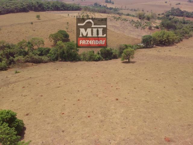 Chácara 10.5 Alqueires ( 50.82 ha ) Leopoldo de Bulhões-GO - Foto 4