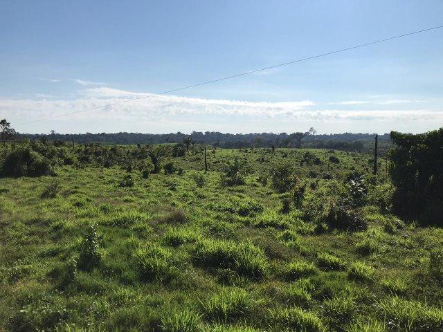 Fazenda no Acre - Foto 13