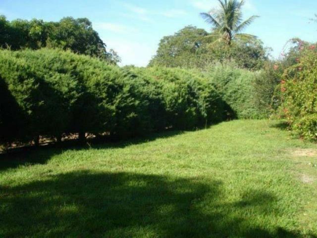 Chácara com para morar ou finais de semana. Casa com 3 Quartos à Venda, 21000 m² - Foto 10