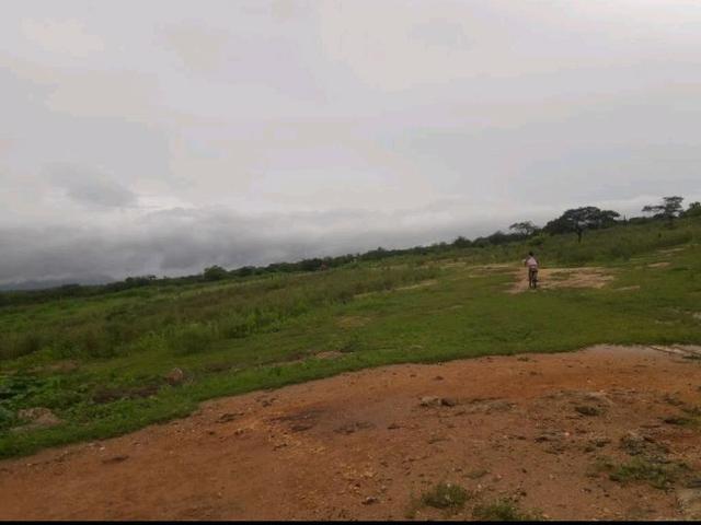 Fazenda rural em forquilha - Foto 13