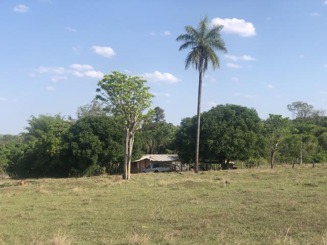 Vendo chácara próximo ao shopping bosque dos Ipês - Foto 6