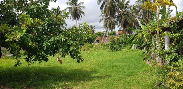 Terreno, Praia de Pitangui, Centro, Área de 2718m2, Casa Sede, Rua Calçada - Foto 4