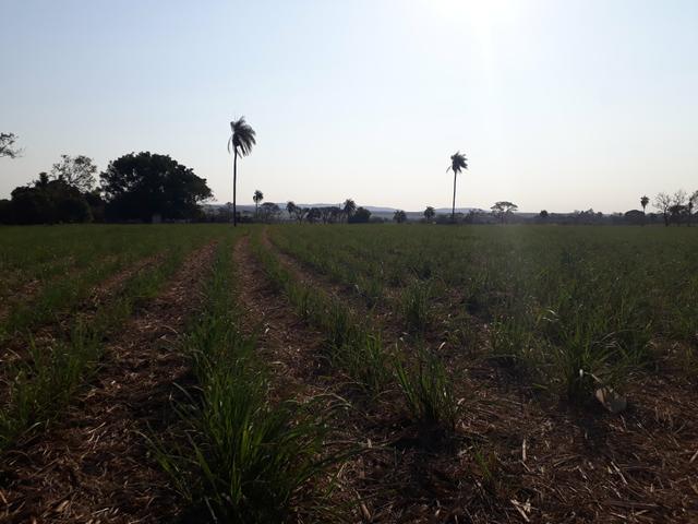 Lote para chácara 30.000m2