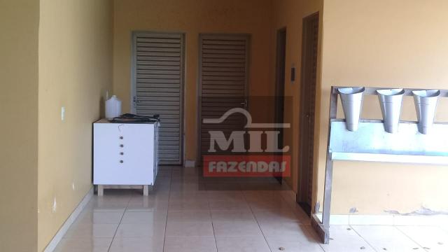 Oportunidade chácara, sítio 4 Hidrolândia/Aragoiania - Foto 11