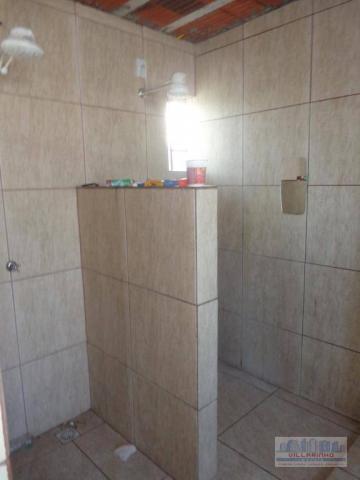 Terreno para alugar, 1962 m² por r$ 7.000 rua chico pedro, 760 - camaquã - porto alegre/rs - Foto 6