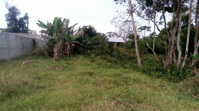 Terreno praia 12×30 Matinhos - Foto 3