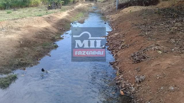 Oportunidade chácara, sítio 4 Hidrolândia/Aragoiania - Foto 18
