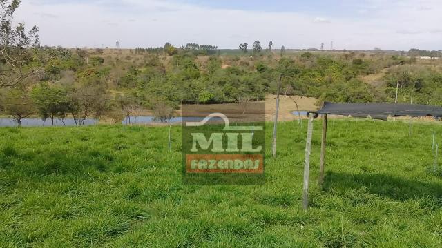 Oportunidade chácara, sítio 4 Hidrolândia/Aragoiania - Foto 17