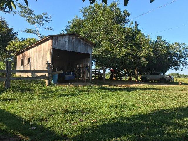 Fazenda no Acre - Foto 3