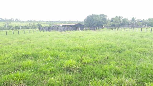 Fazenda no Acre - Foto 5