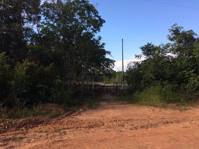 Chácaras Janauary - Foto 8