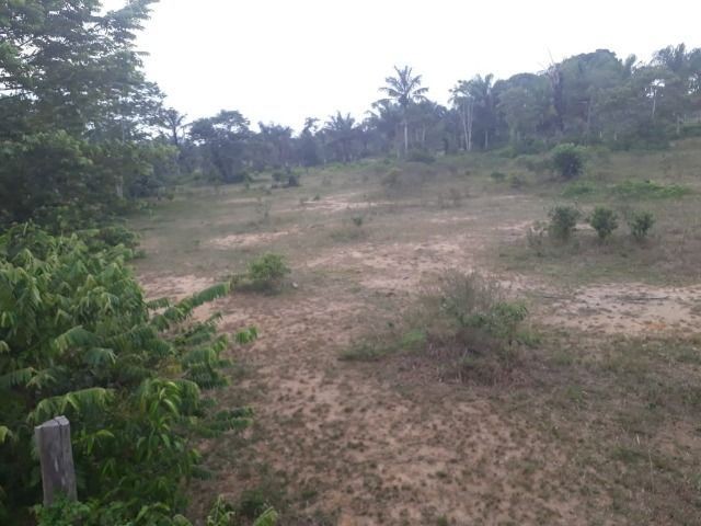 Chácaras Janauary - Foto 4