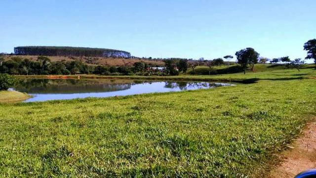 60 Alq. Troca Por Faz. Tocantins Mato Grosso Ou Goias + Acima 400 Alq - Foto 14