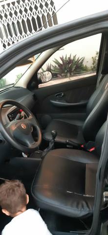 Palio economy celebrechion