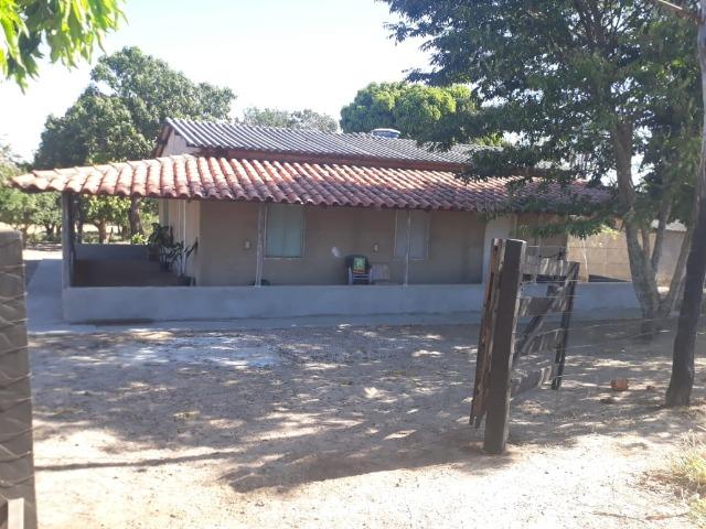 Fazenda no município de Edeia - GO - Foto 3