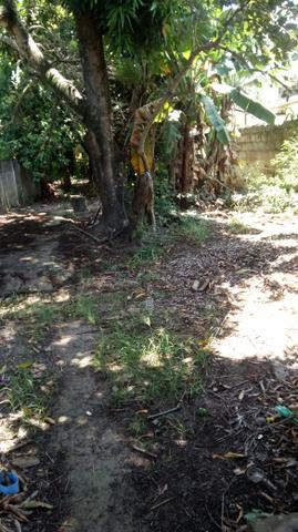 Terreno - Foto 4