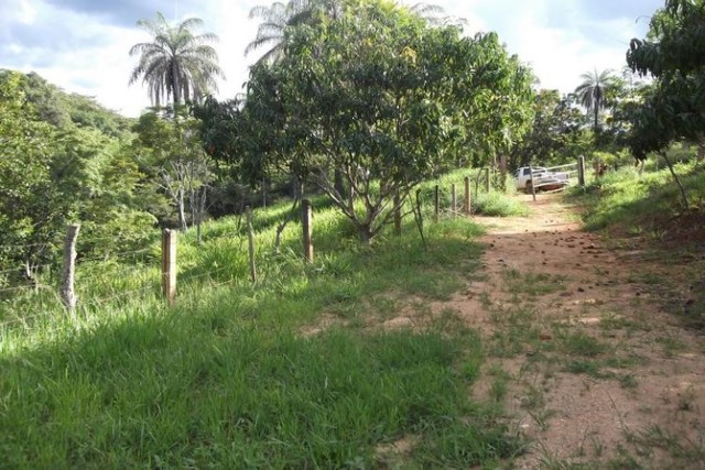 Fazendinha de 6.5 ha,perto do centro Jaboticatubas 