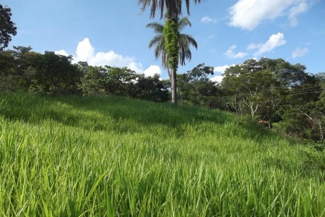 Fazendinha de 6.5 ha,perto do centro Jaboticatubas  - Foto 2