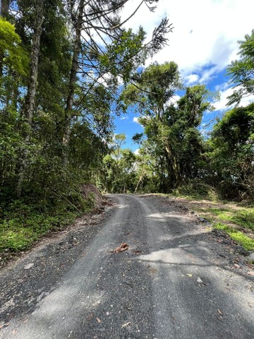 Sitio em Alfredo Wagner - Foto 4