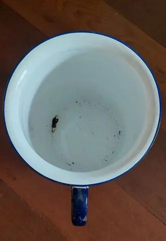 Antiguidade Penico Ferro Esmaltado - Foto 3